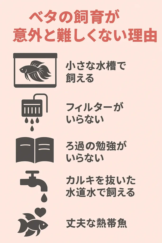 ベタの敷くが意外と難しくない理由