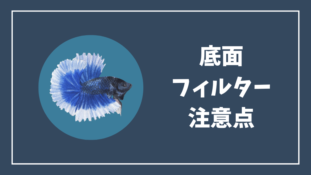 底面フィルターの注意点