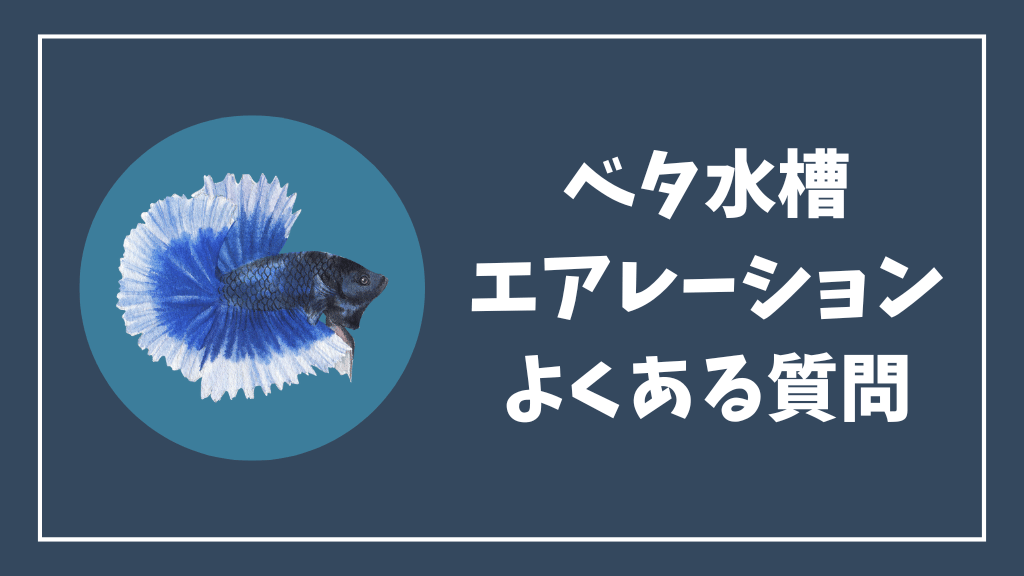 ベタ水槽のエアレーションのよくある質問