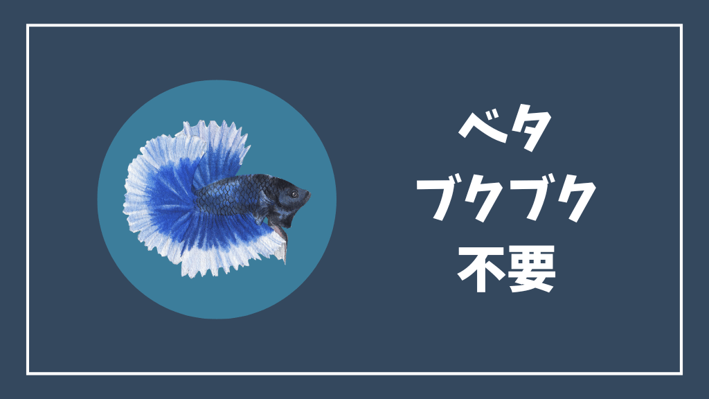 ベタにエアレーション（ブクブク）は不要