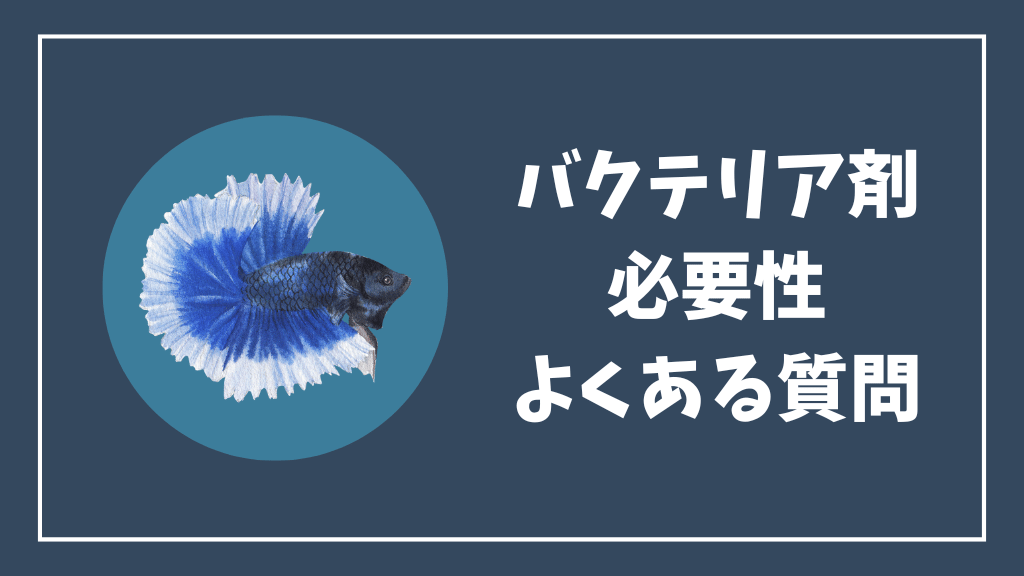 ベタ水槽のバクテリア剤の必要性のよくある質問