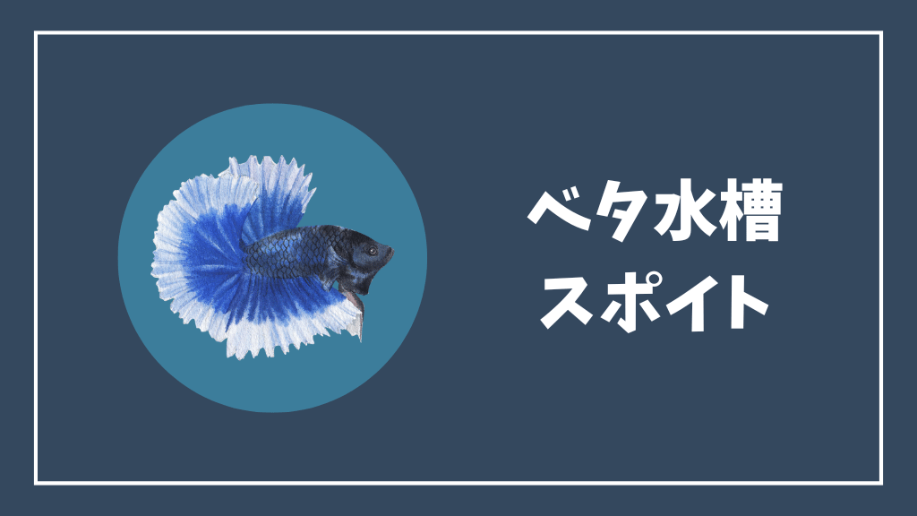 ベタ水槽のスポイト