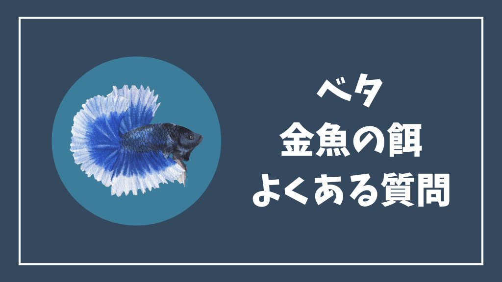 ベタの金魚の餌のよくある質問