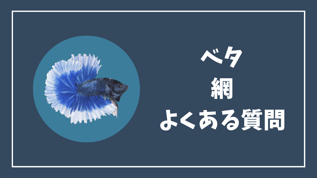 ベタの網のよくある質問