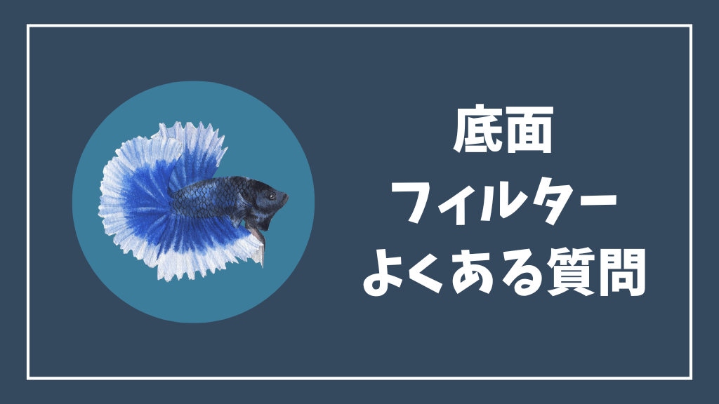 ベタ水槽の底面フィルターのよくある質問