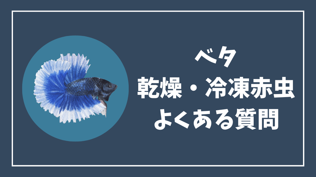 ベタの乾燥赤虫と冷凍赤虫のよくある質問