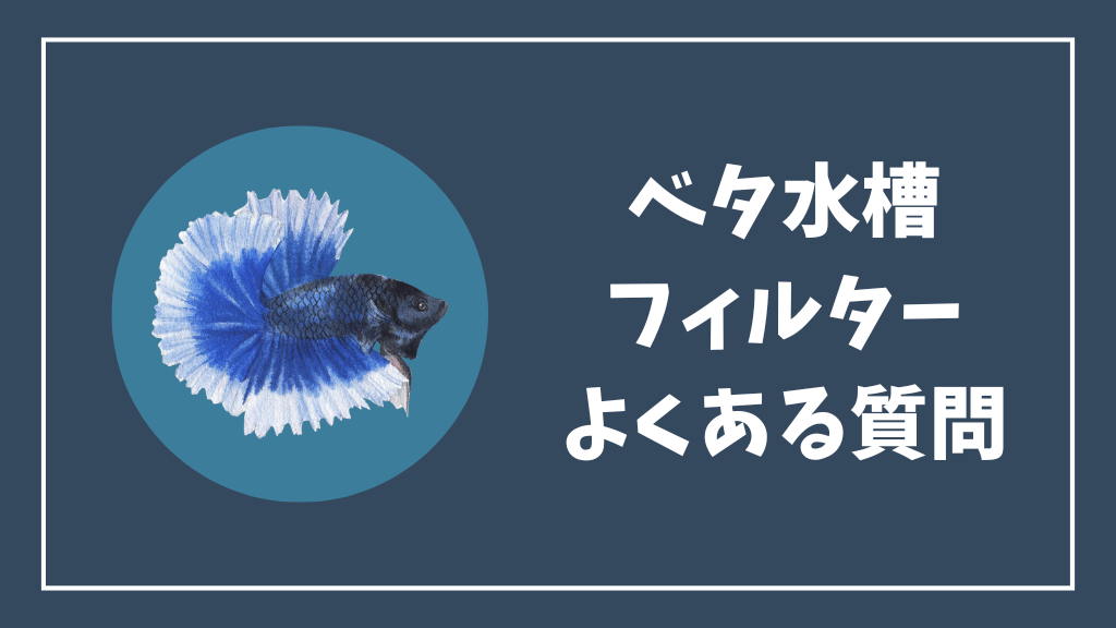 ベタ水槽のフィルターのよくある質問