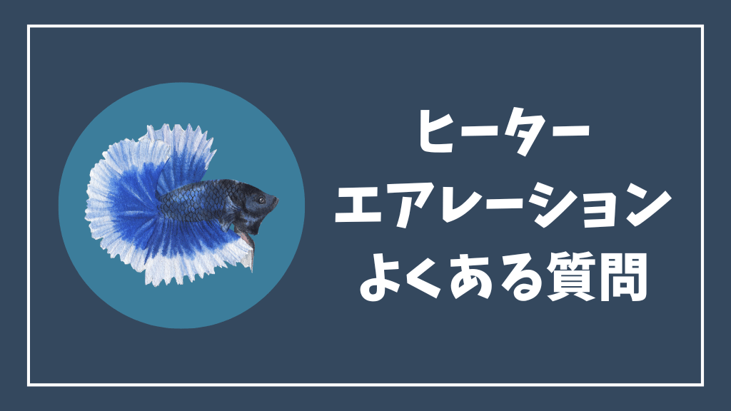 ベタ水槽のヒーターとエアレーションのよくある質問