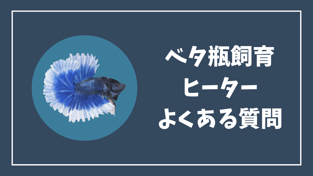 ベタの瓶飼育のヒーターのよくある質問