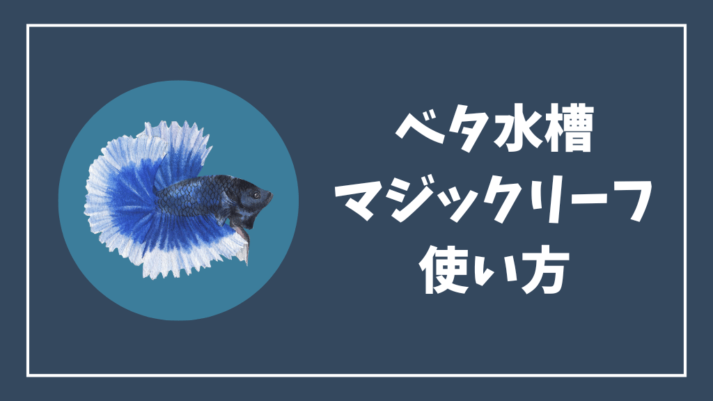 ベタ水槽のマジックリーフの使い方