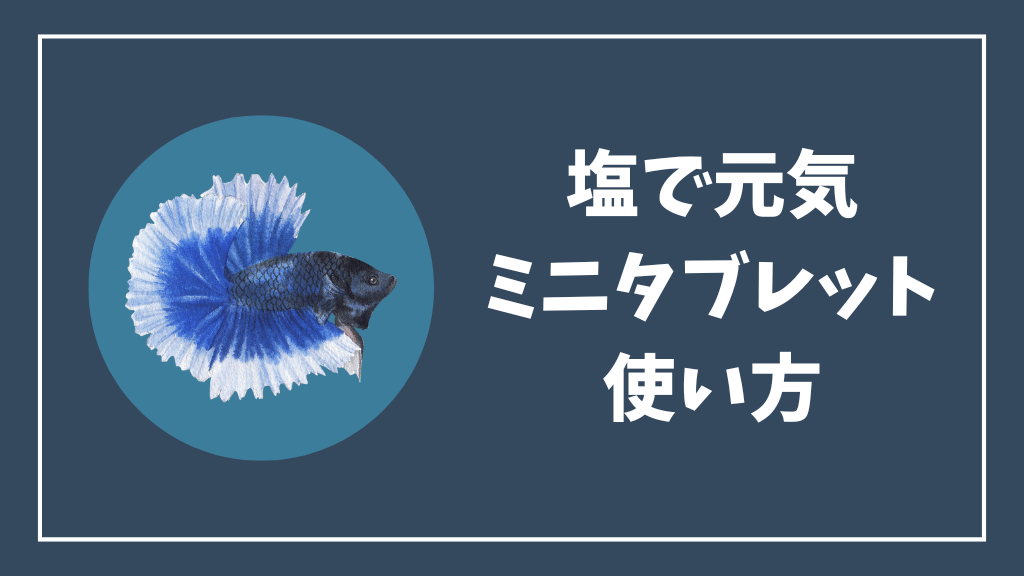 塩で元気ミニタブレットの使い方