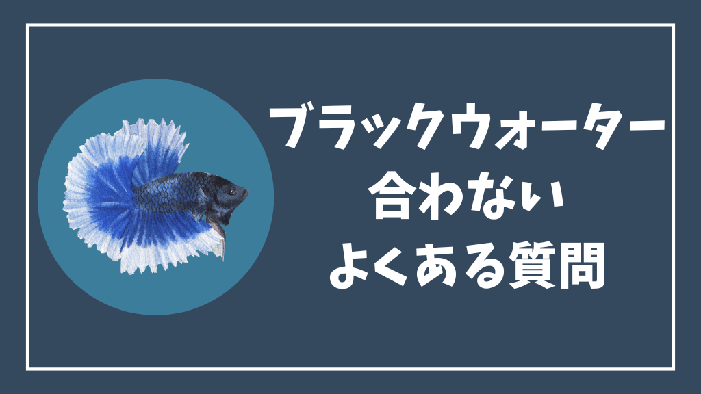 ベタにブラックウォーターが合わない時のよくある質問