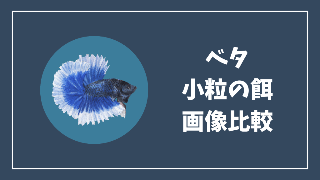 ベタの小粒の餌の画像比較