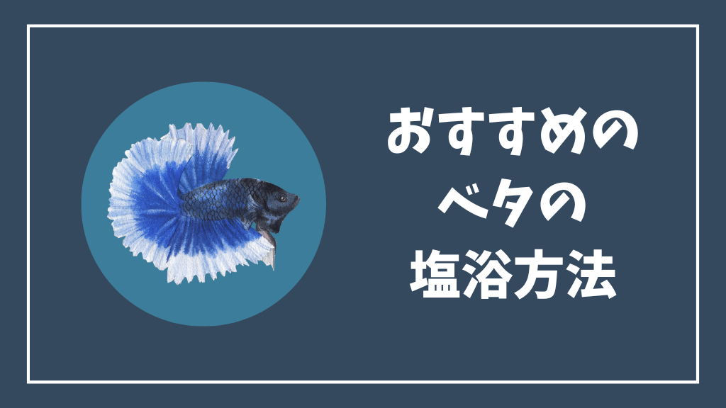 おすすめのベタの塩浴方法