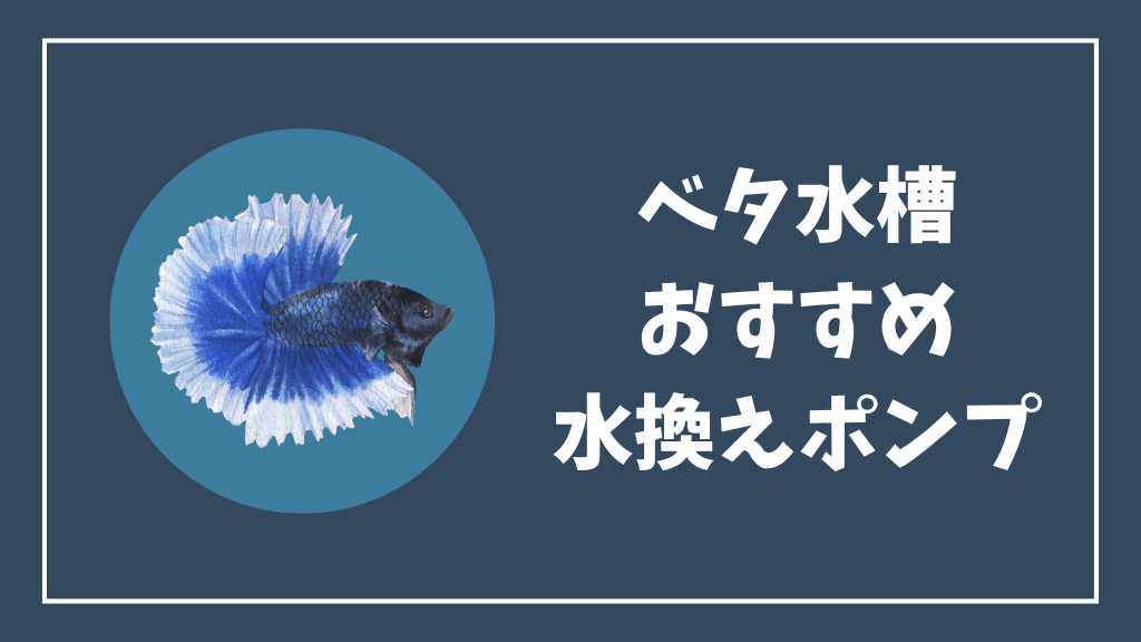 ベタ水槽におすすめの水換えポンプ