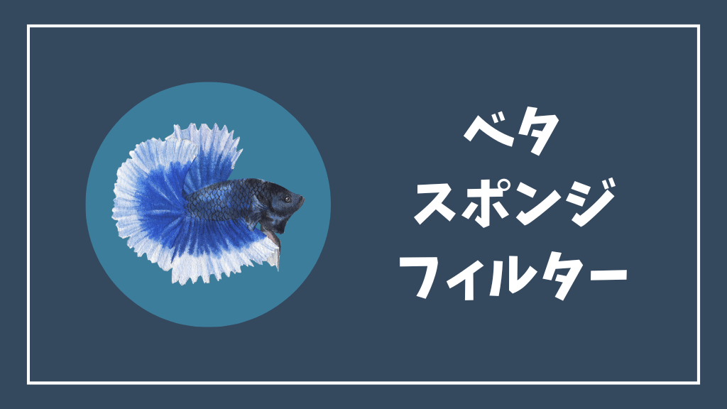 ベタにおすすめのスポンジフィルター