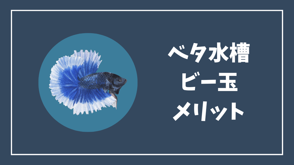 ベタ水槽のビー玉のメリット