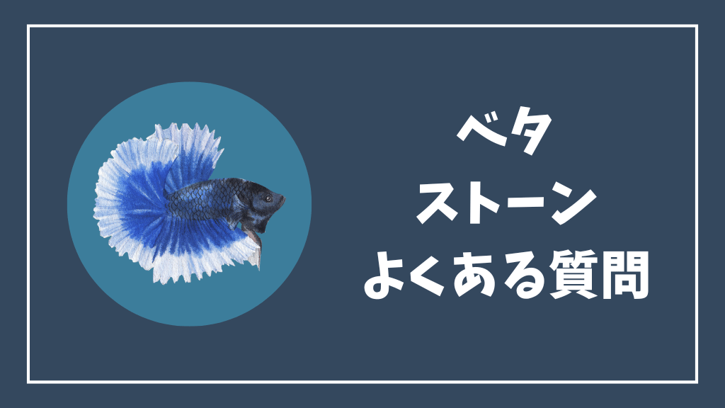 ベタストーンのよくある質問