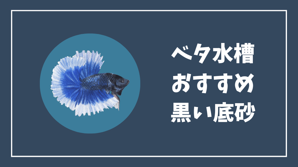ベタ水槽におすすめの黒い底砂・砂利