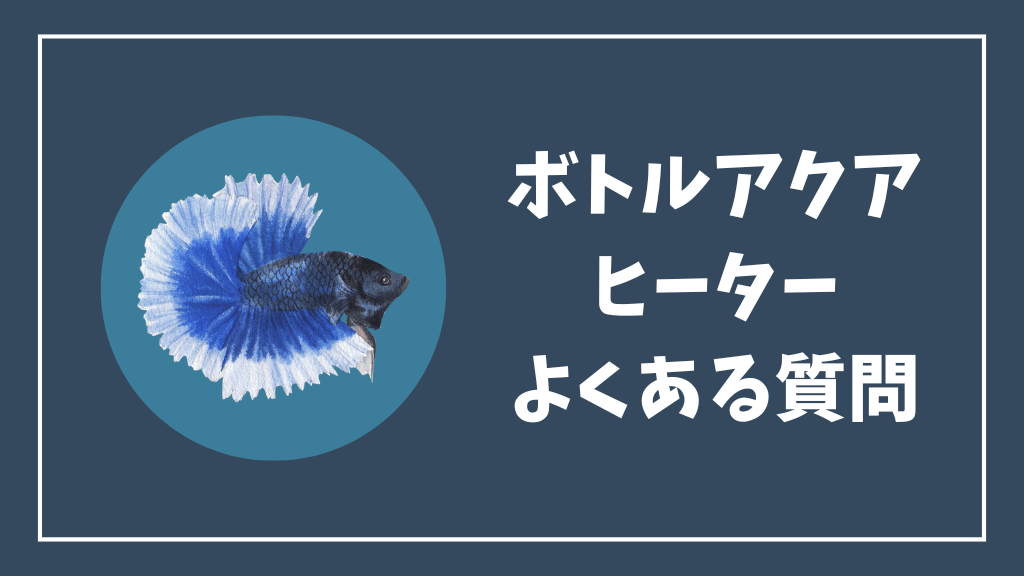 ベタのボトルアクアリウムのヒーターのよくある質問
