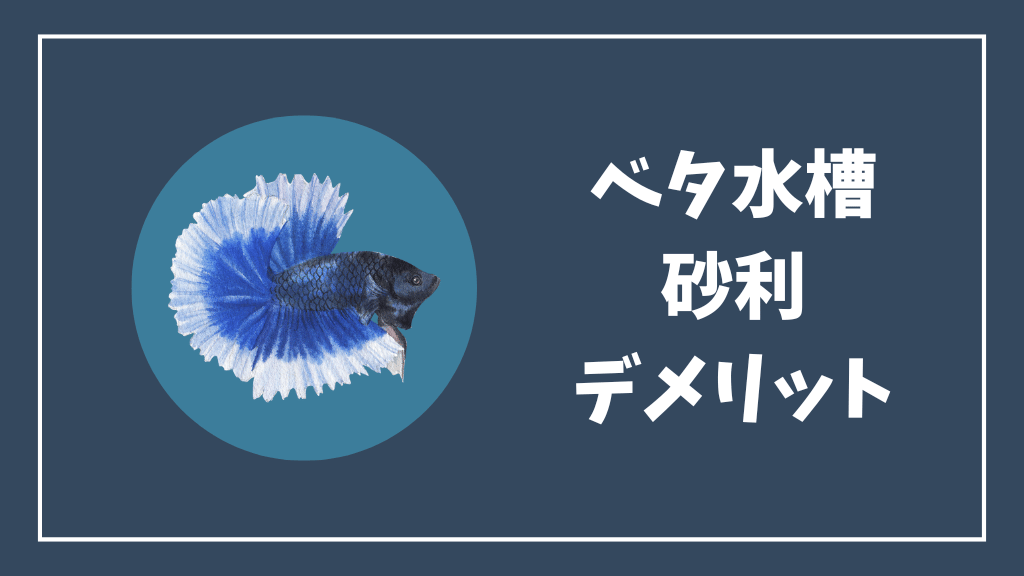 ベタ水槽の砂利のデメリット