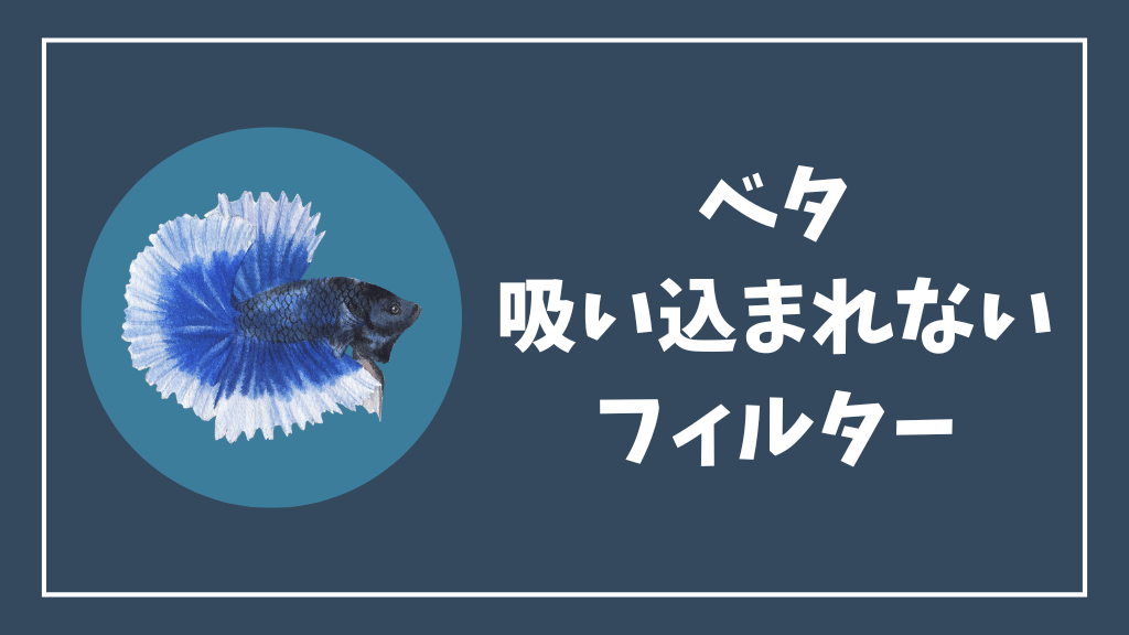 ベタが吸い込まれないフィルター