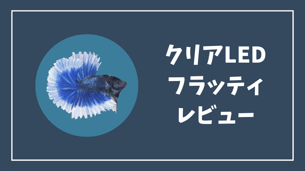 クリアLEDフラッティレビュー