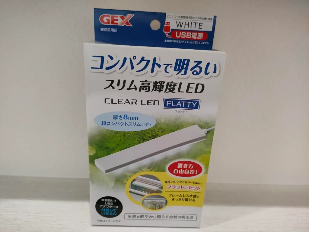 フラッティ①