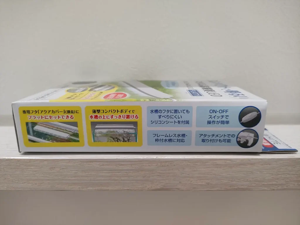 フラッティ③