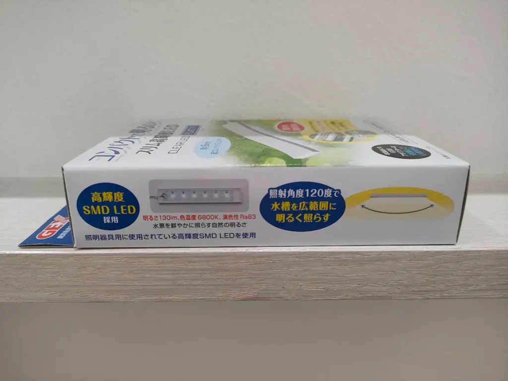 フラッティ④