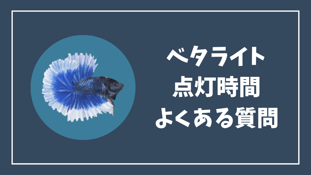 ベタのライトの点灯時間のよくある質問