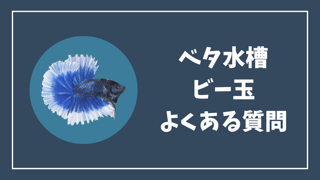 ベタ水槽のビー玉のよくある質問