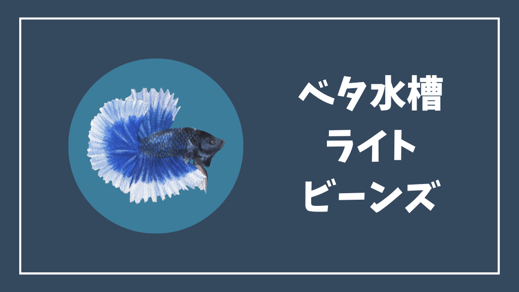 ベタ水槽のおすすめライトミニLEDビーンズ