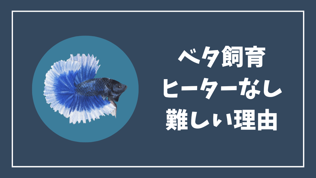 ベタをヒーターなしで飼育するのが難しい理由