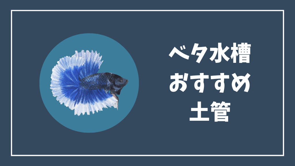 ベタ水槽におすすめの土管