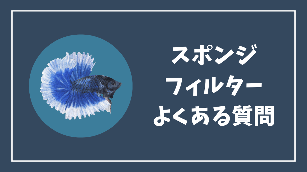 ベタ水槽のスポンジフィルターのよくある質問