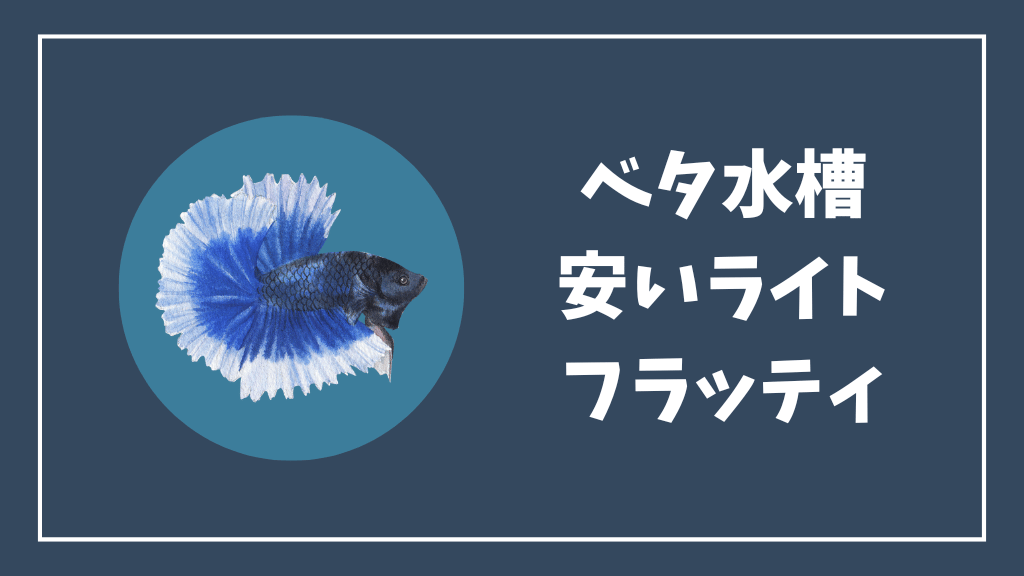 ベタ水槽におすすめの安いライトはフラッティ