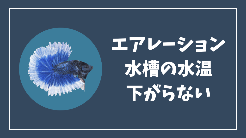 エアレーションで水槽の水温は下がらない