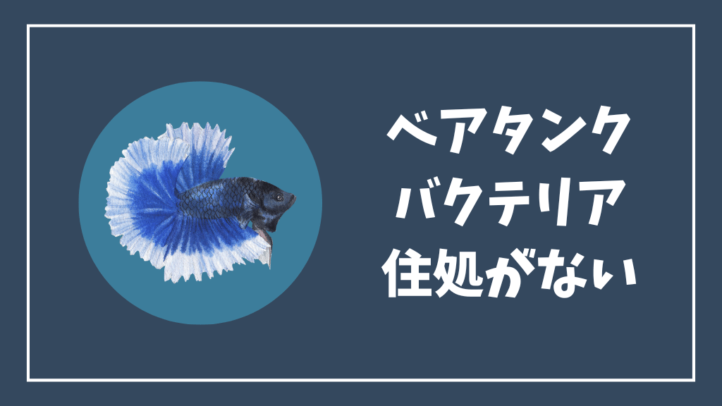 ベアタンク水槽にはバクテリアの住処がない