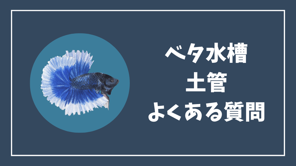 ベタ水槽の土管のよくある質問