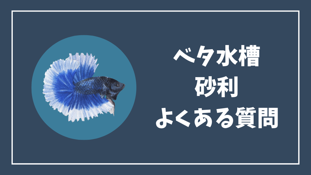 ベタ水槽の砂利のよくある質問