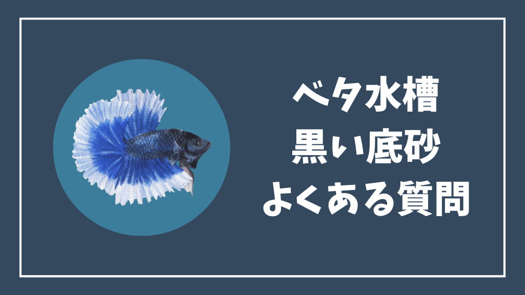 ベタ水槽の黒い底砂のよくある質問