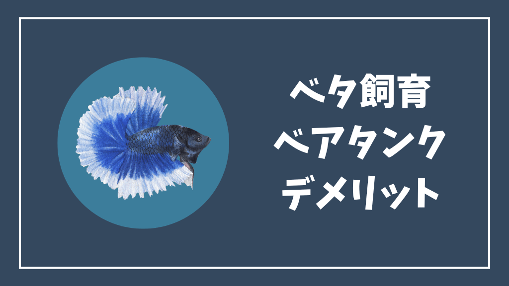 ベタ飼育のベアタンクのデメリット