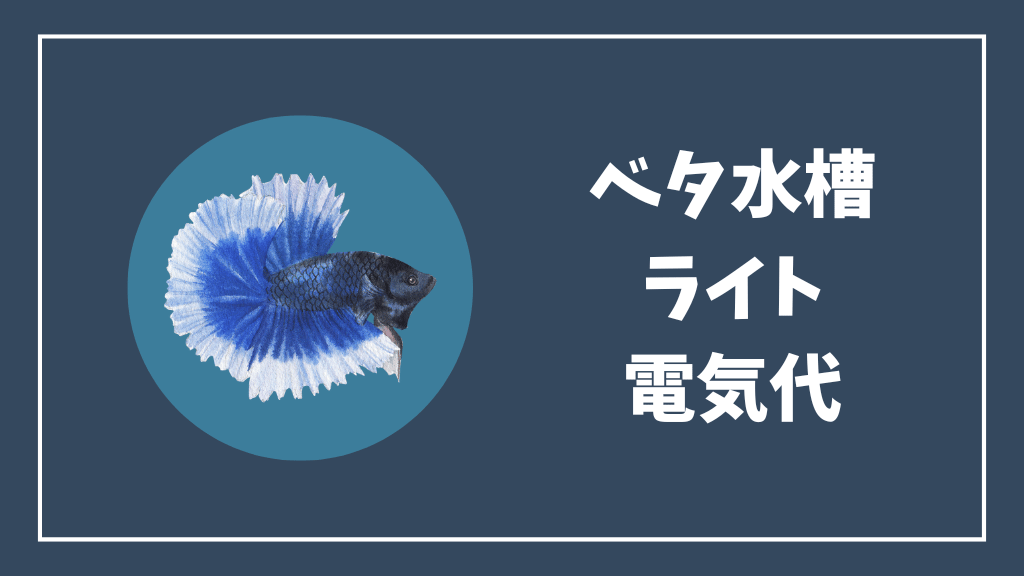 ベタ水槽のライトの電気代