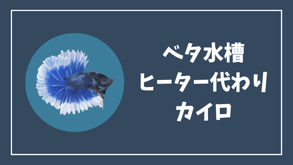 ベタ水槽のヒーター代わりにカイロを貼る方法