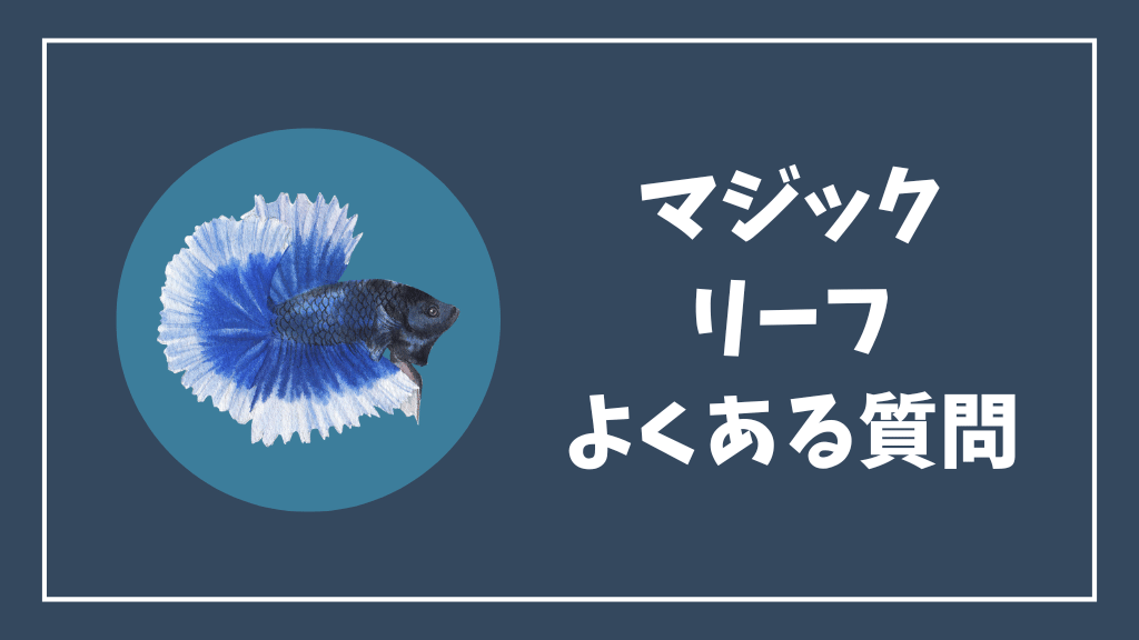 マジックリーフのよくある質問