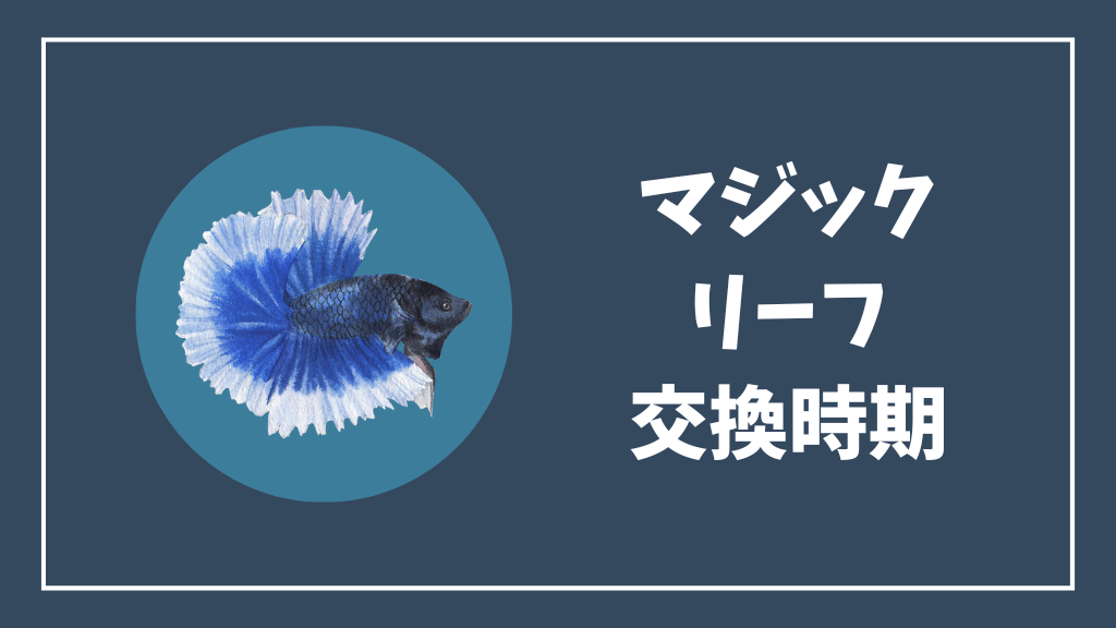 マジックリーフの交換時期