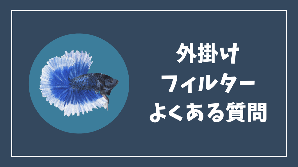 ベタ水槽の外掛けフィルターのよくある質問