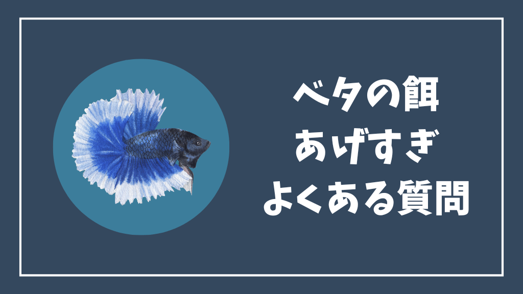ベタの餌のあげすぎのよくある質問