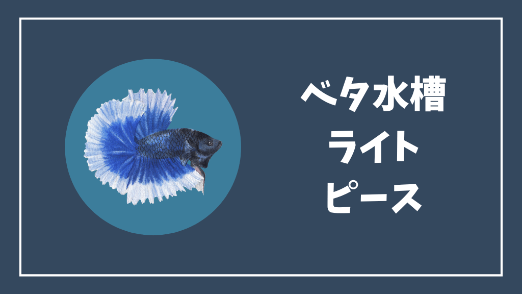 ベタ水槽のライトはピースがおすすめ